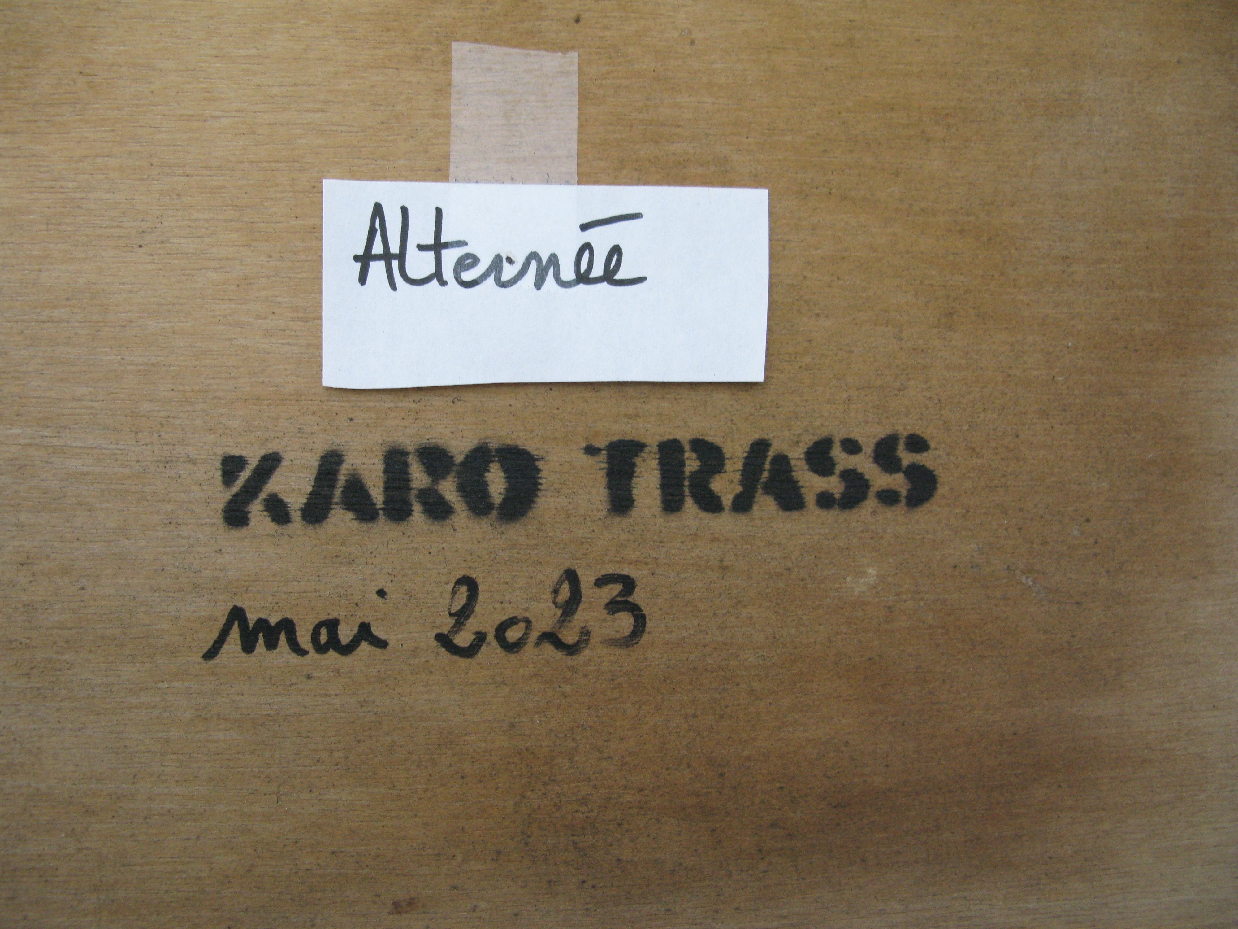 Tableau de KARO TRASS a pour titre  Circulation alternée style street pop art, street art dim : KARO TRASSprix:350