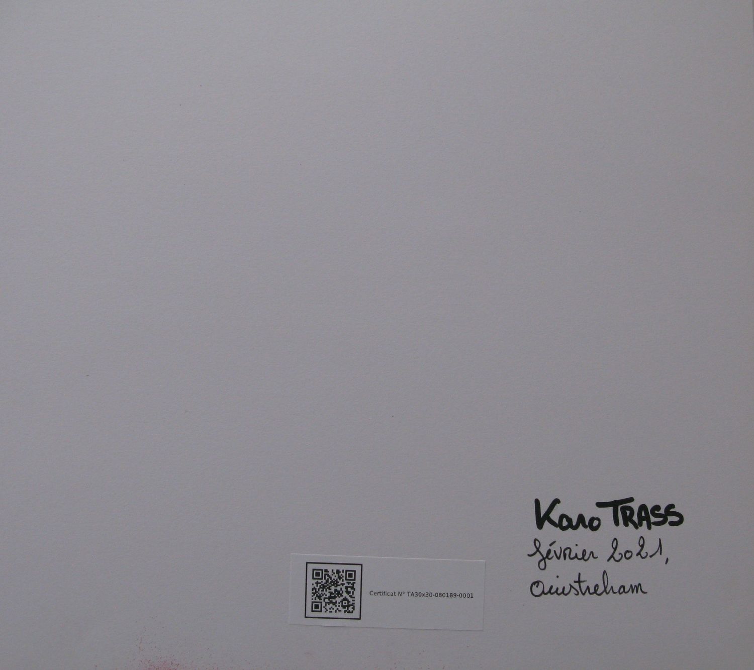 Tableau de KARO TRASS a pour titre  Méduses style street pop art, street art dim : KARO TRASSprix:90