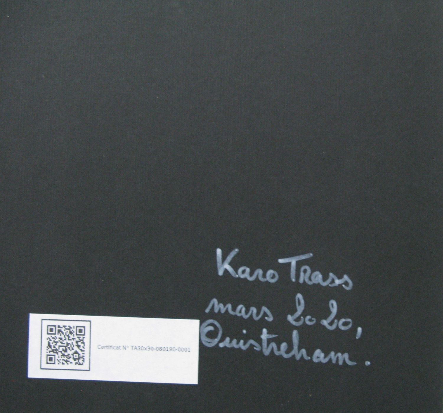Tableau de KARO TRASS a pour titre  Louison style street pop art, street art dim : KARO TRASSprix:90