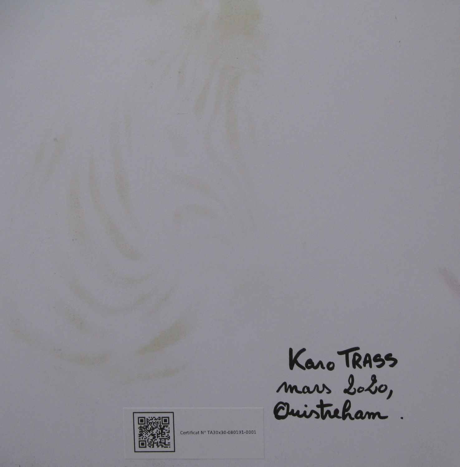 Tableau de KARO TRASS a pour titre  Juliette style street pop art, street art dim : KARO TRASSprix:90