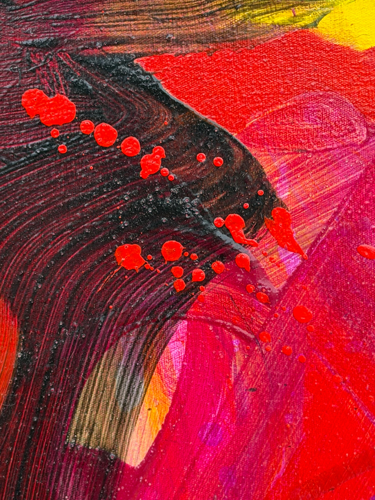 Petit Rouge 1