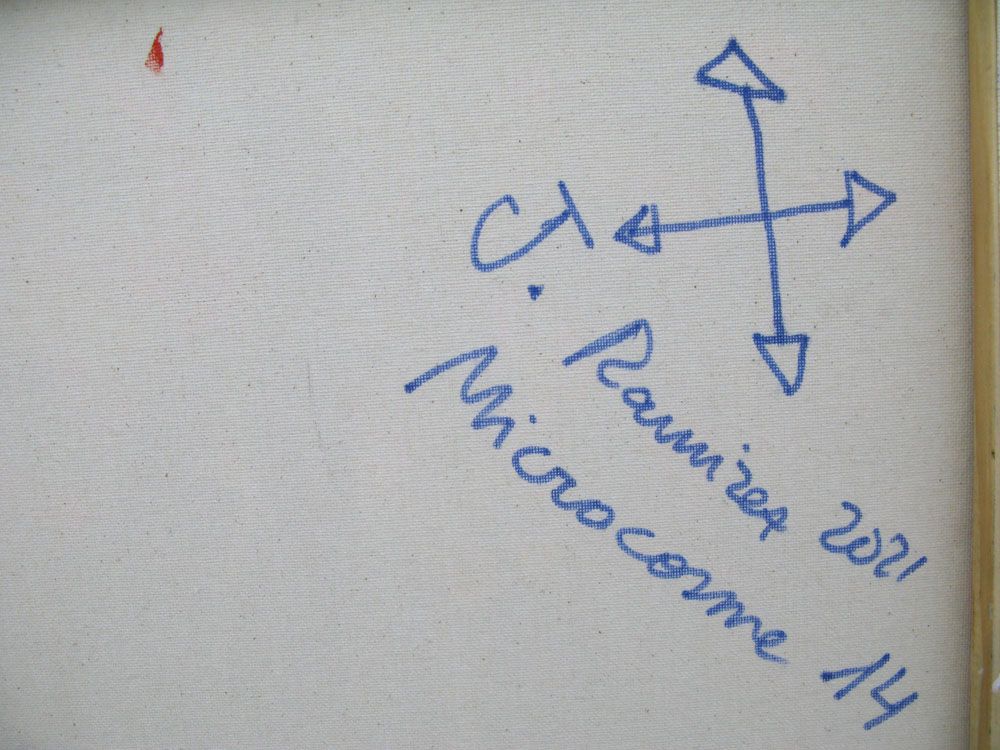 Tableau de JAVIER RAMIREZ a pour titre  MICROCOSMES 14 style abstrait dim : JAVIER RAMIREZprix: