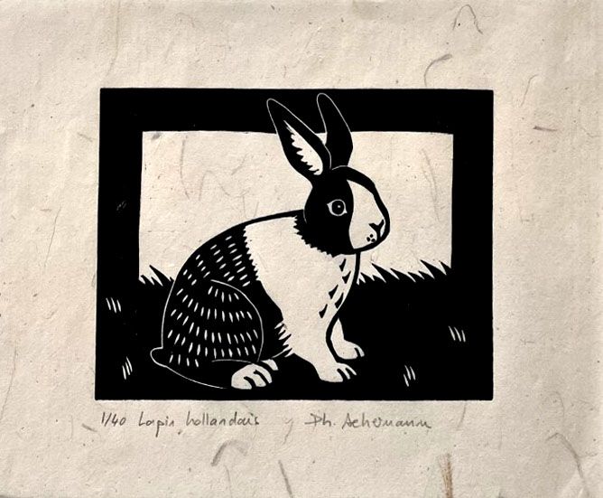 Editions d'art de PHILIPPE ACHERMANN a pour titre  LAPIN HOLLANDAIS style figuratif dim : PHILIPPE ACHERMANNprix:40