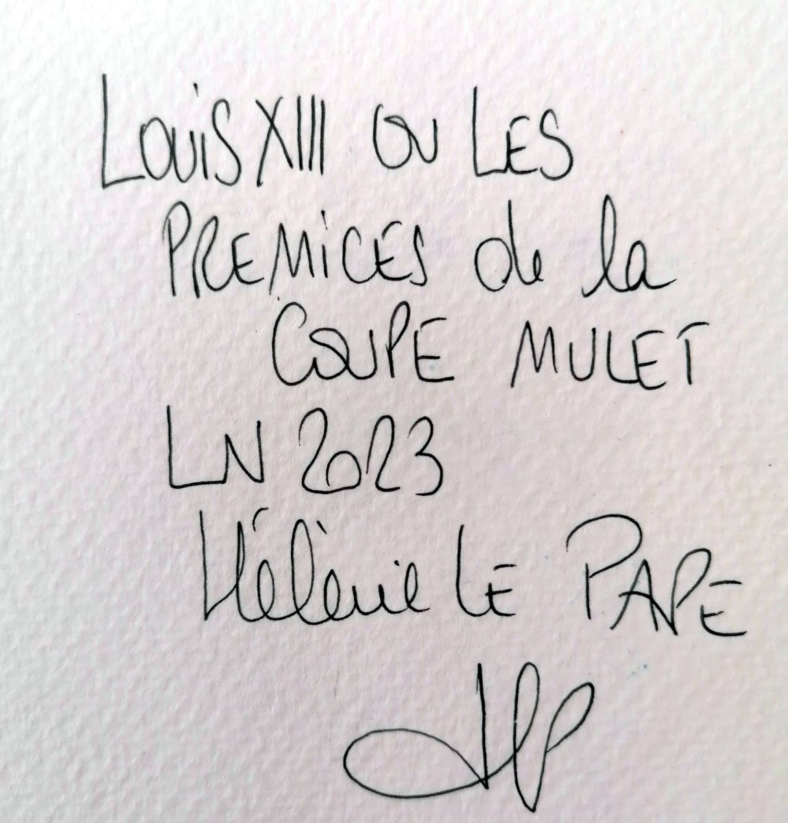 Dessin de LN LE PAPE a pour titre  LOUIS XIII OU LES PREMICES DE LA COUPE MULET style street pop art dim : LN LE PAPEprix:50