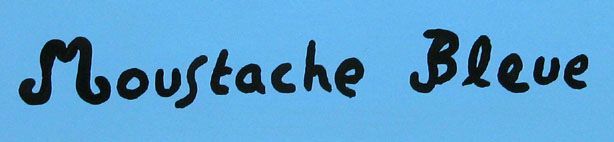 Dessin de MOUSTACHE BLEUE a pour titre  La gymnastique c'est fantastique ! style figuratif dim : MOUSTACHE BLEUEprix:120