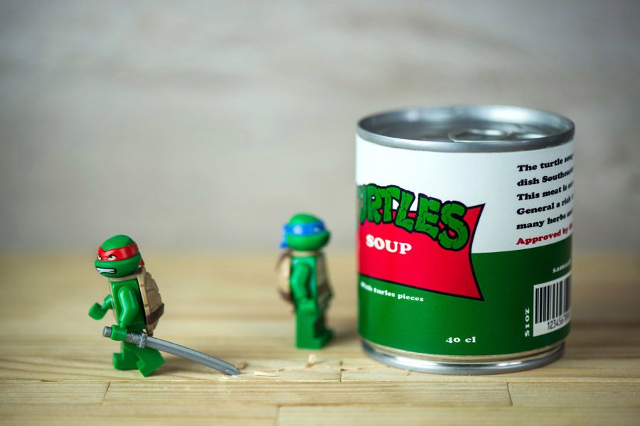 Photo de SAMSOFY a pour titre  TURTLE SOUP style figuratif dim : SAMSOFYprix:60