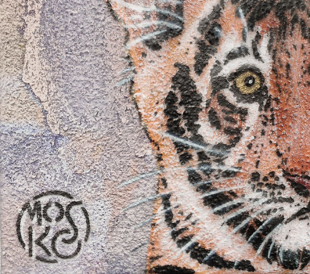 Tableau de MOSKO a pour titre  Bébé tigre style street art dim : MOSKOprix:420