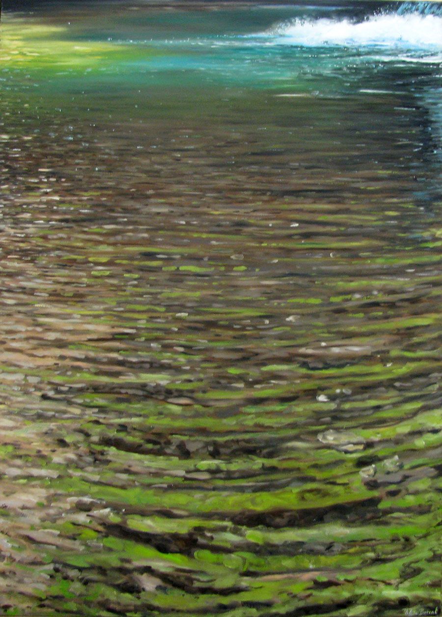 Tableau de ELISE BARAT a pour titre  CASCADE DU HERISSON style figuratif dim : ELISE BARATprix: