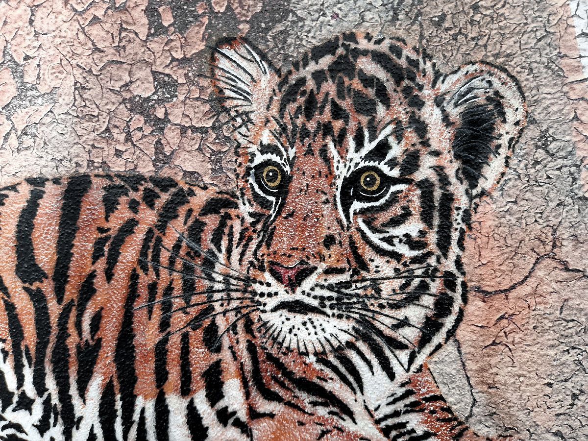 Tableau de MOSKO a pour titre  Bébé tigre style street art dim : MOSKOprix:1500