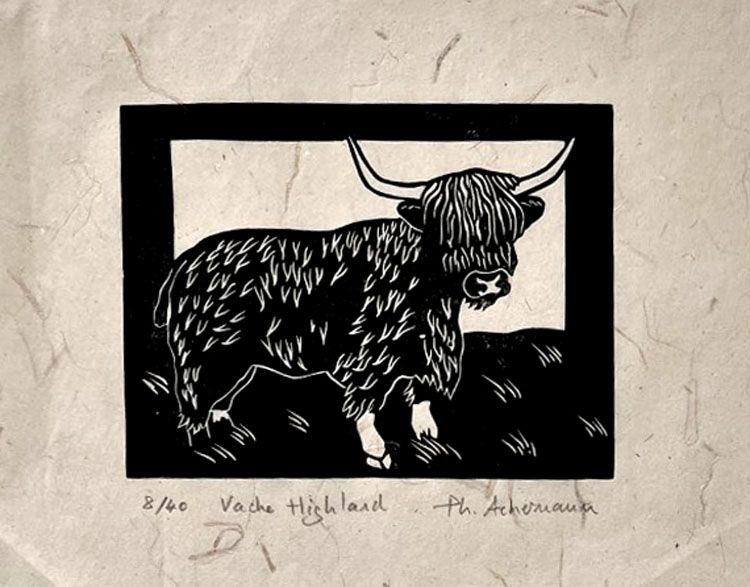 Editions d'art de PHILIPPE ACHERMANN a pour titre  VACHE HIGHLAND style figuratif dim : PHILIPPE ACHERMANNprix:40