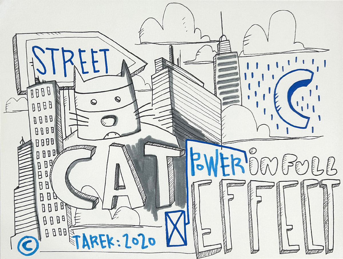 Cat power