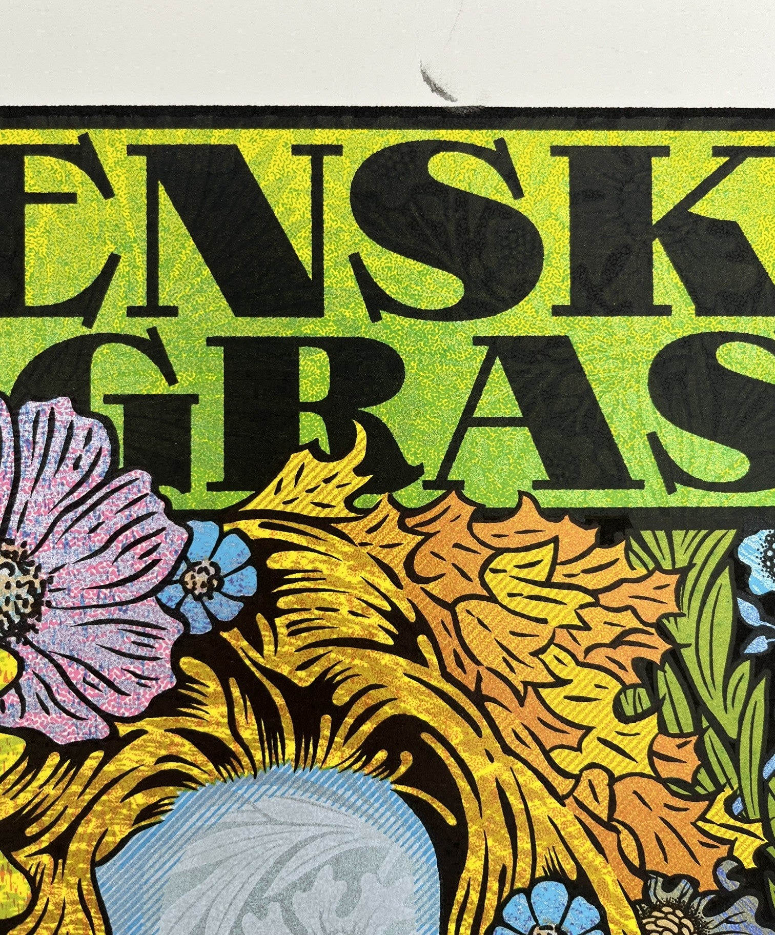 GREENSKY BLUEGRASS MYSTIC regular AP