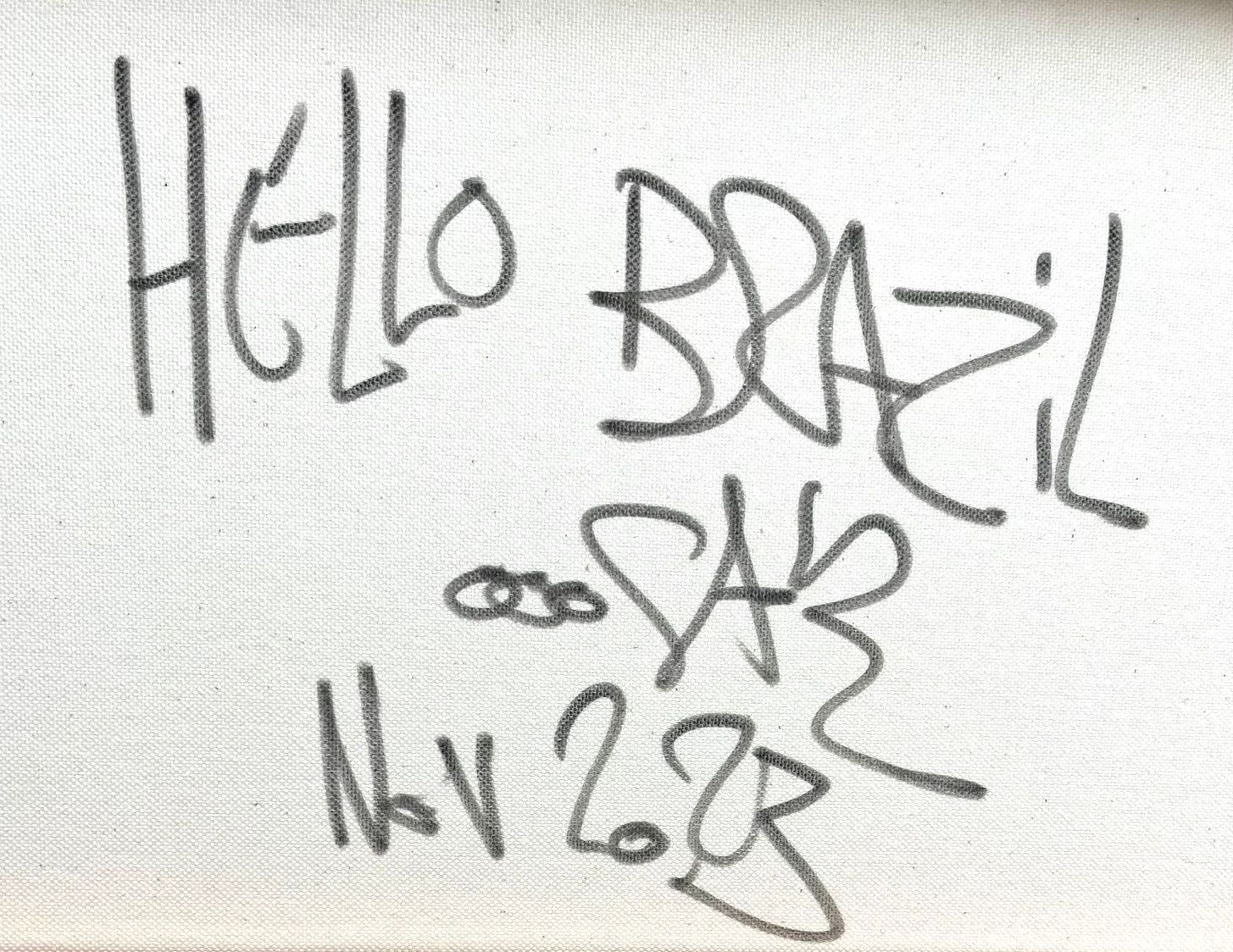 Tableau de RICO SAB a pour titre  Hello Brazil style street pop art, street art dim : RICO SABprix:290