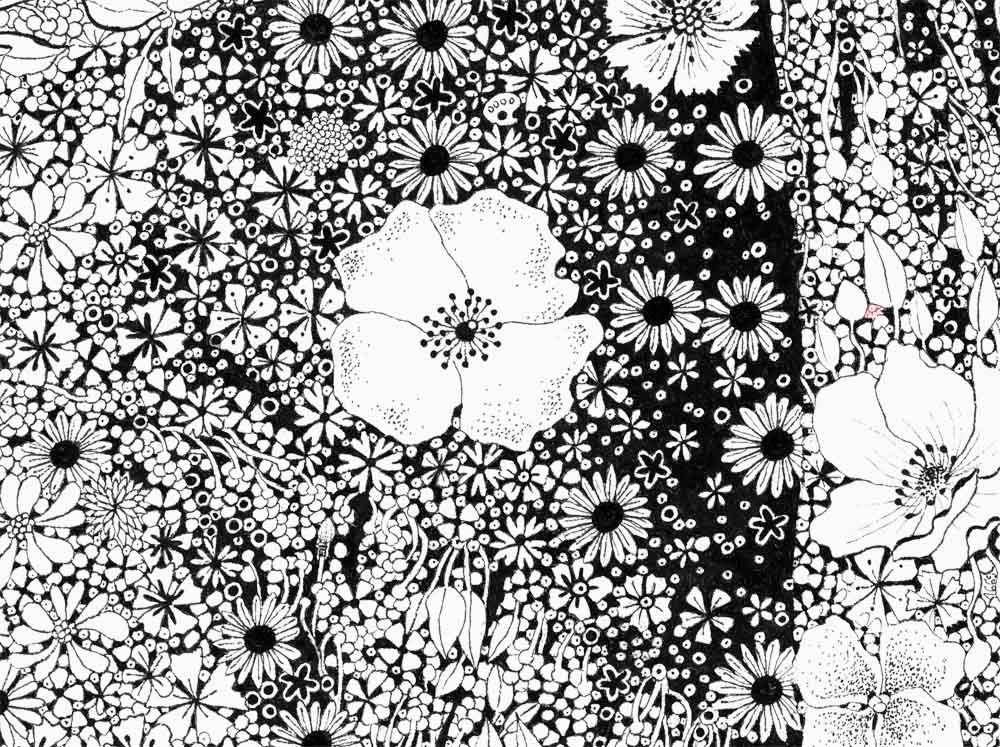 Editions d'art de CAMILLE POLI a pour titre  JEUNE FILLE AUX FLEURS style figuratif, graphique dim : CAMILLE POLIprix:90
