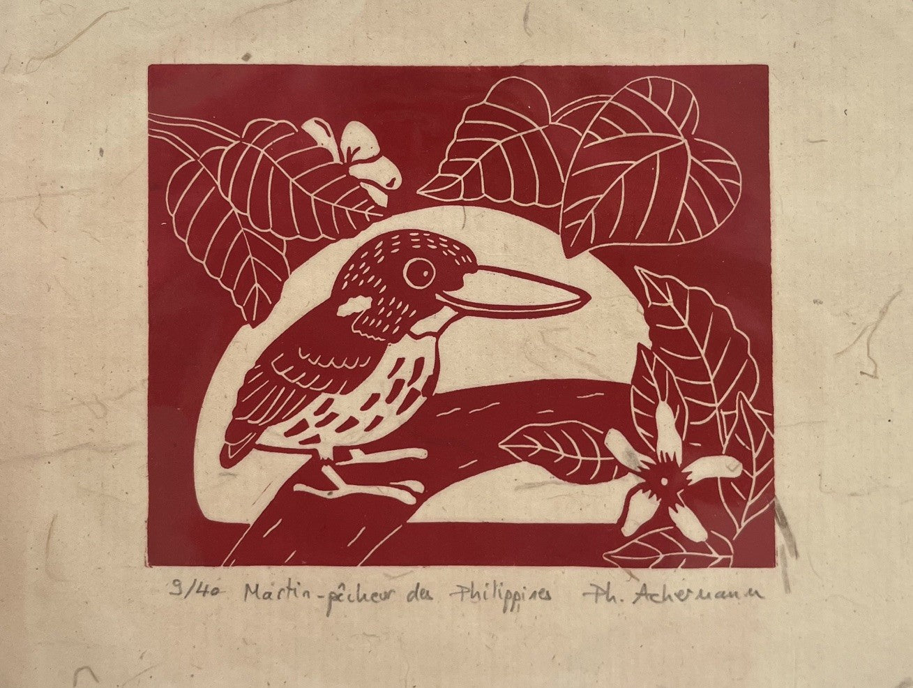MARTIN PECHEUR