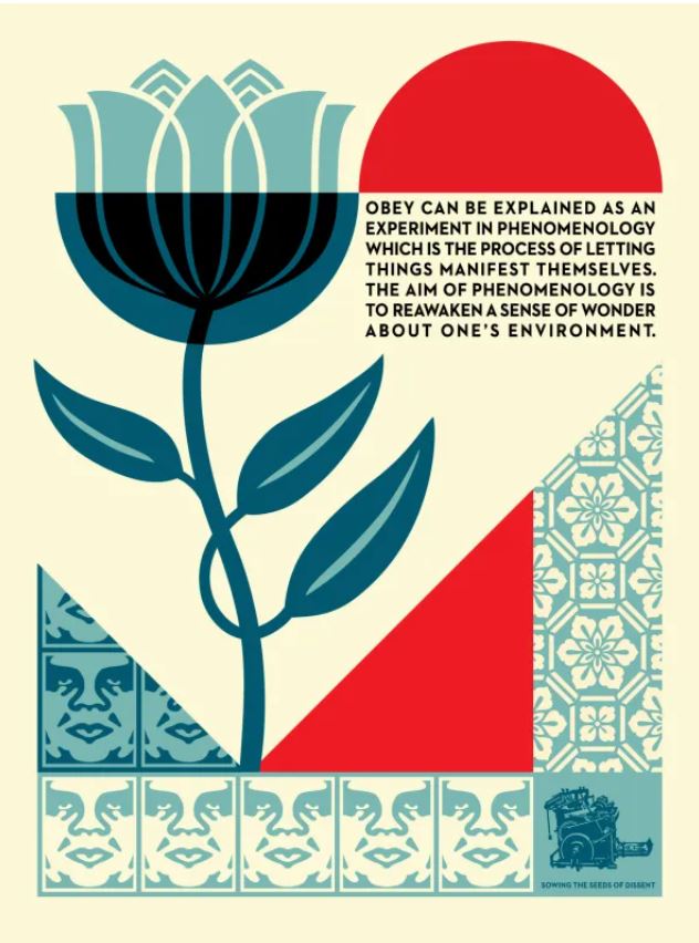 Phenomenology in Bloom