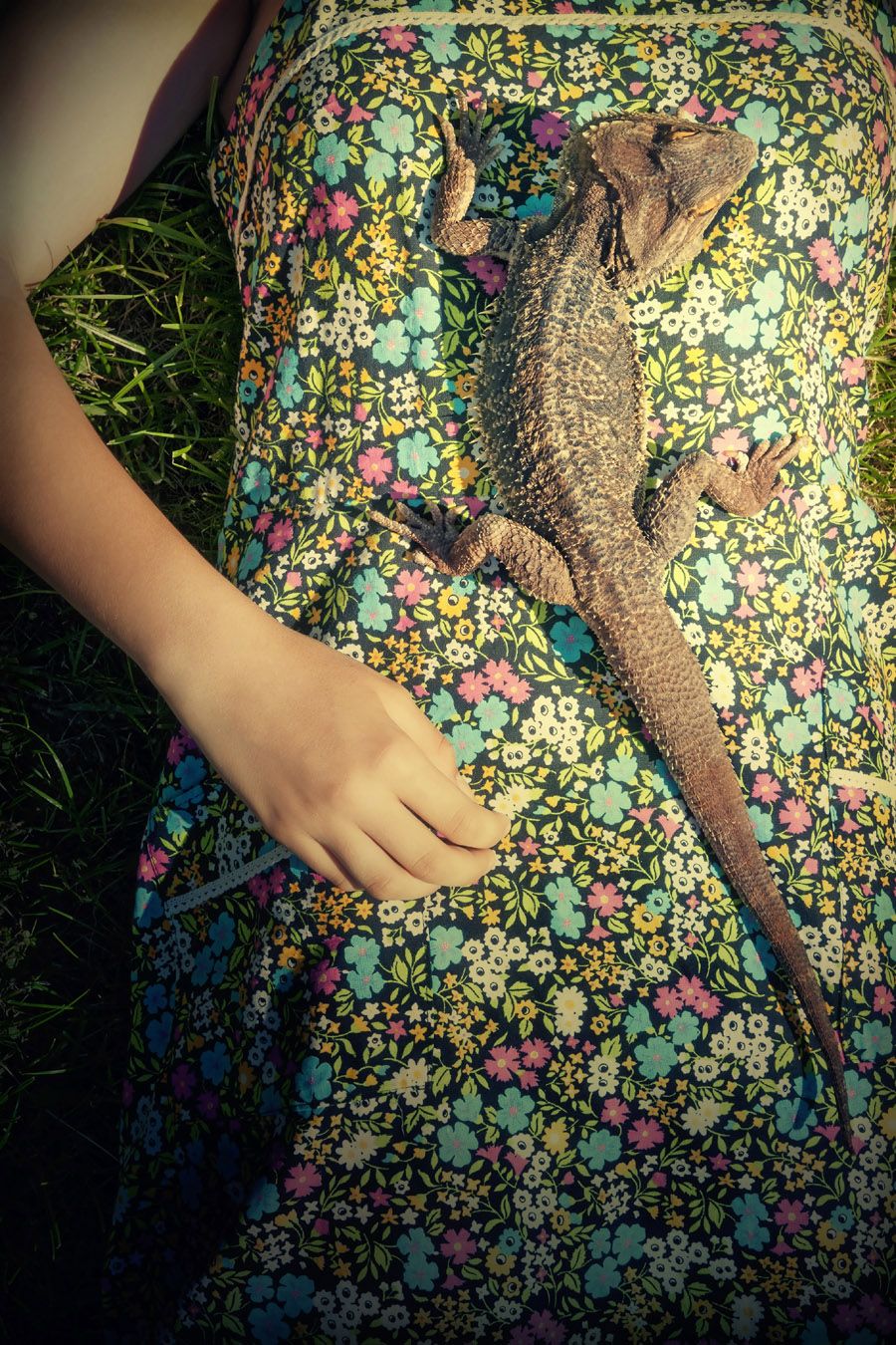 Photographie petit format SANS TITRE 11 – AURELIE SARRAMON – 36 × 24 cm