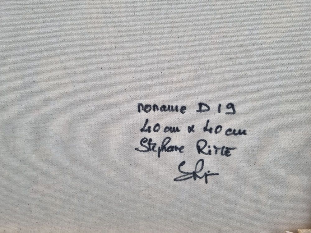 Tableau de STEPHANE RIME a pour titre  NONAME D19 style abstrait dim : STEPHANE RIMEprix:190