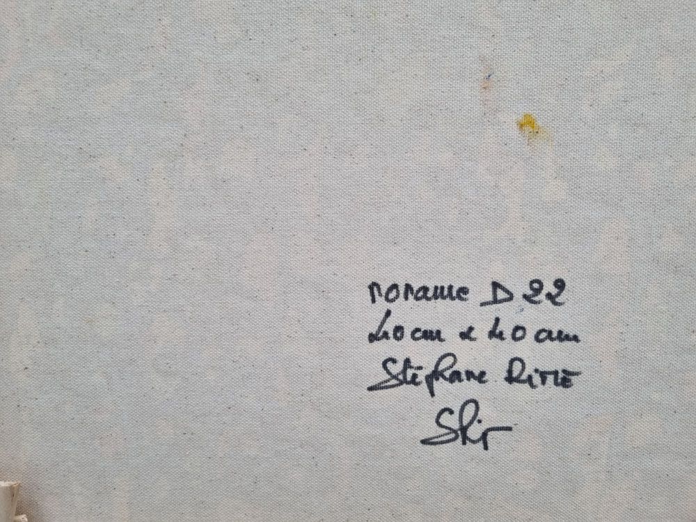 Tableau de STEPHANE RIME a pour titre  NONAME D22 style abstrait dim : STEPHANE RIMEprix:190