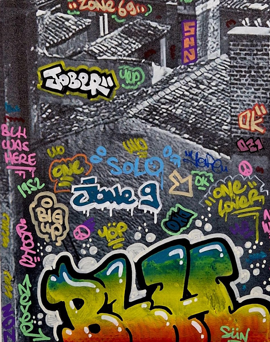 Tableau de BLACH a pour titre  Doisneau, les toits de Lyon style graffiti, street art dim : BLACHprix:320