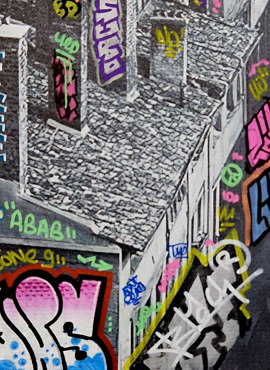 Tableau de BLACH a pour titre  Doisneau, les toits de Lyon style graffiti, street art dim : BLACHprix:320