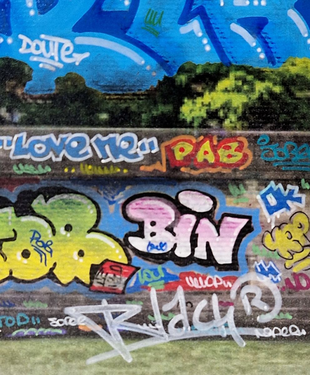 Tableau de BLACH a pour titre  Lyon Feat Carotte style graffiti, street art dim : BLACHprix:500